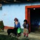 Peru: pequeno produtor enfrenta protestos indígenas e várias crises