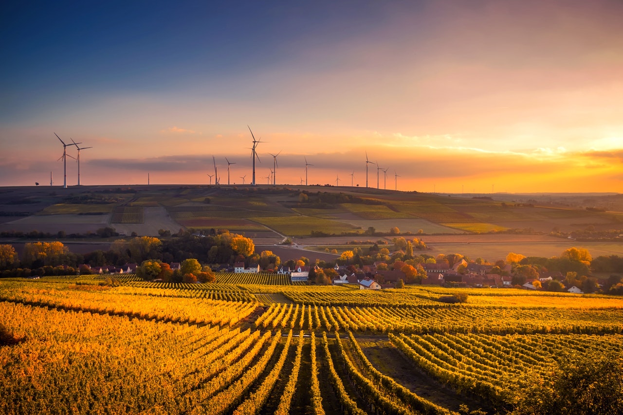 Autonomia e segurança energética impulsionam transição para fontes renováveis na Europa