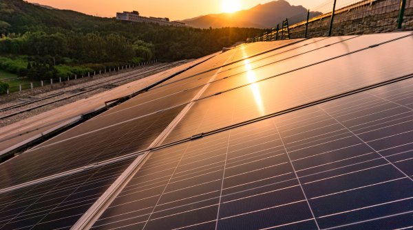 Imagem de um painel solar com a luz do pôr do sol refletida nele. Foto: Getty Images via Canva.